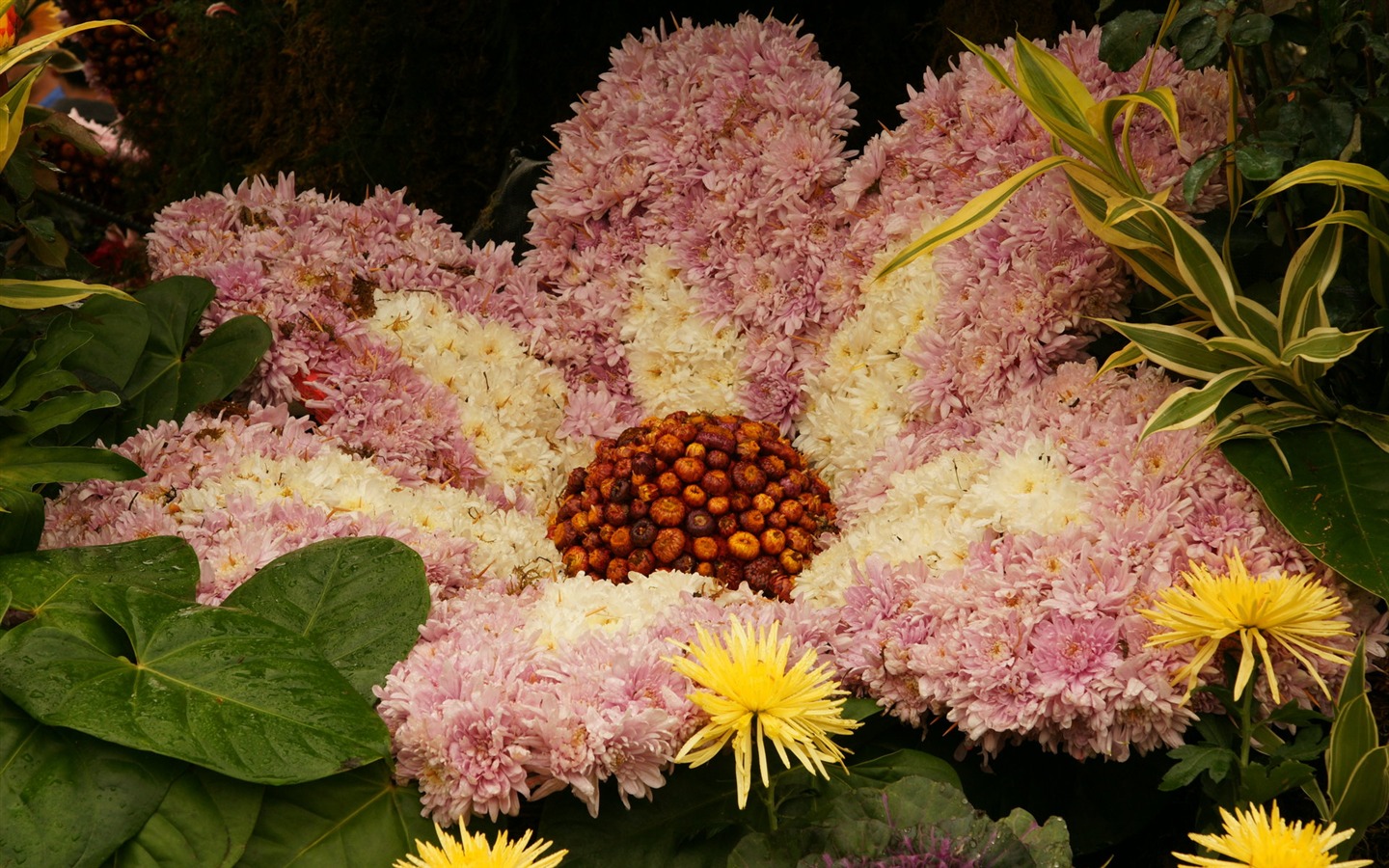 화려한 꽃 (2) 배경 화면을 장식 #15 - 1440x900
