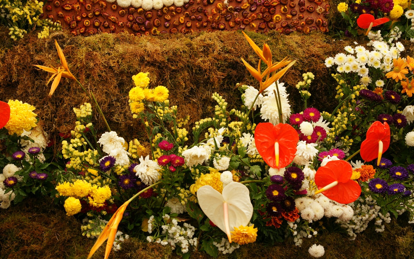 fleurs colorées décorent fond d'écran (2) #18 - 1440x900
