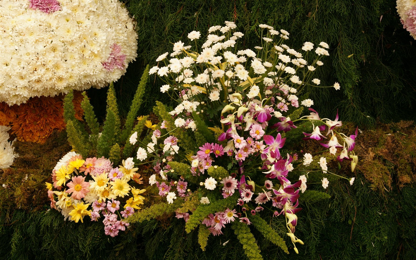 七彩花朵裝飾 壁紙(三) #4 - 1440x900