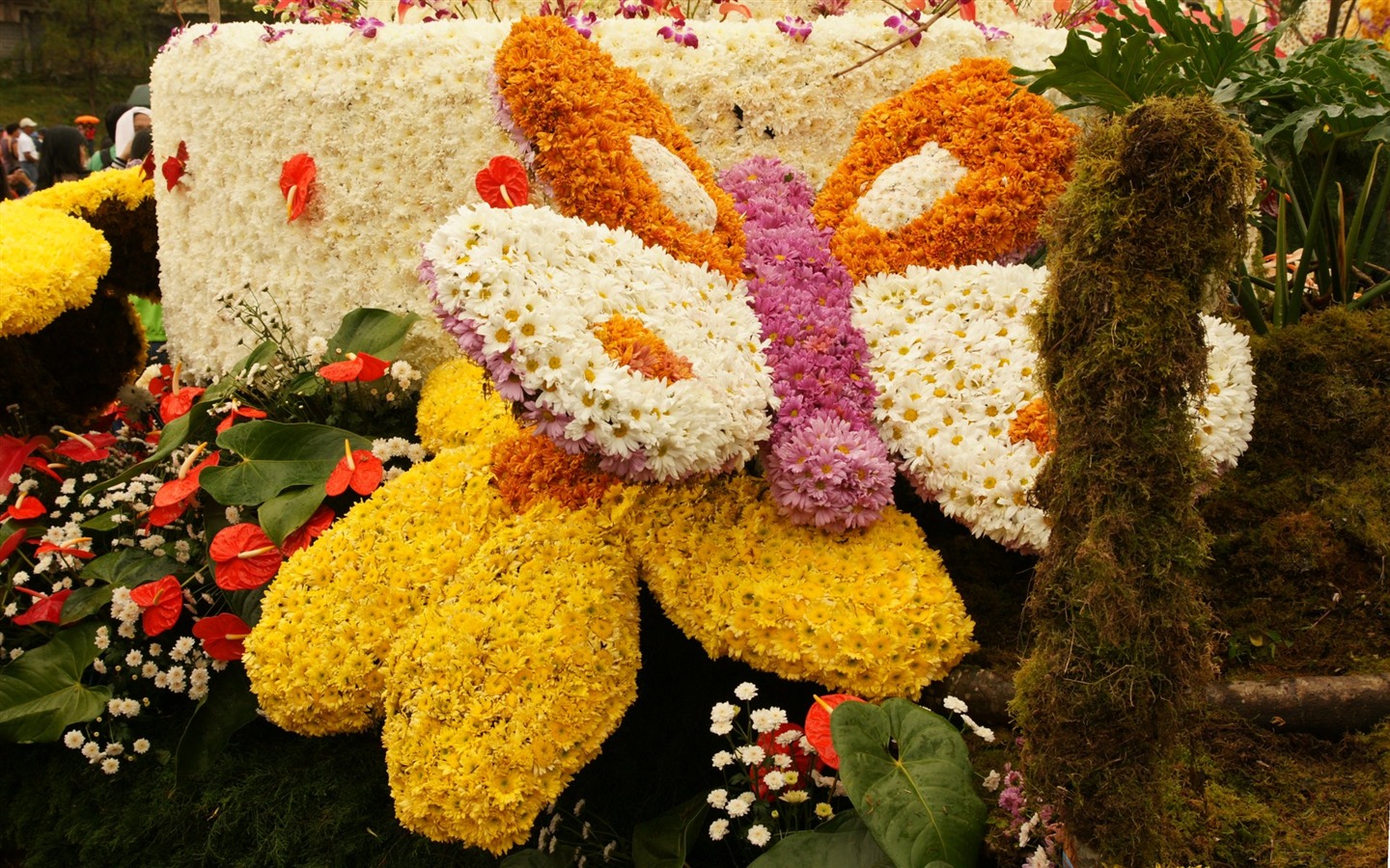 七彩花朵装饰 壁纸(三)16 - 1440x900