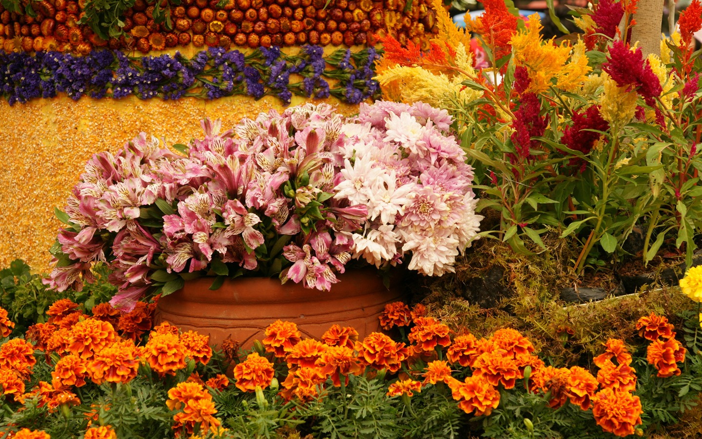 fleurs colorées décorent fond d'écran (4) #10 - 1440x900