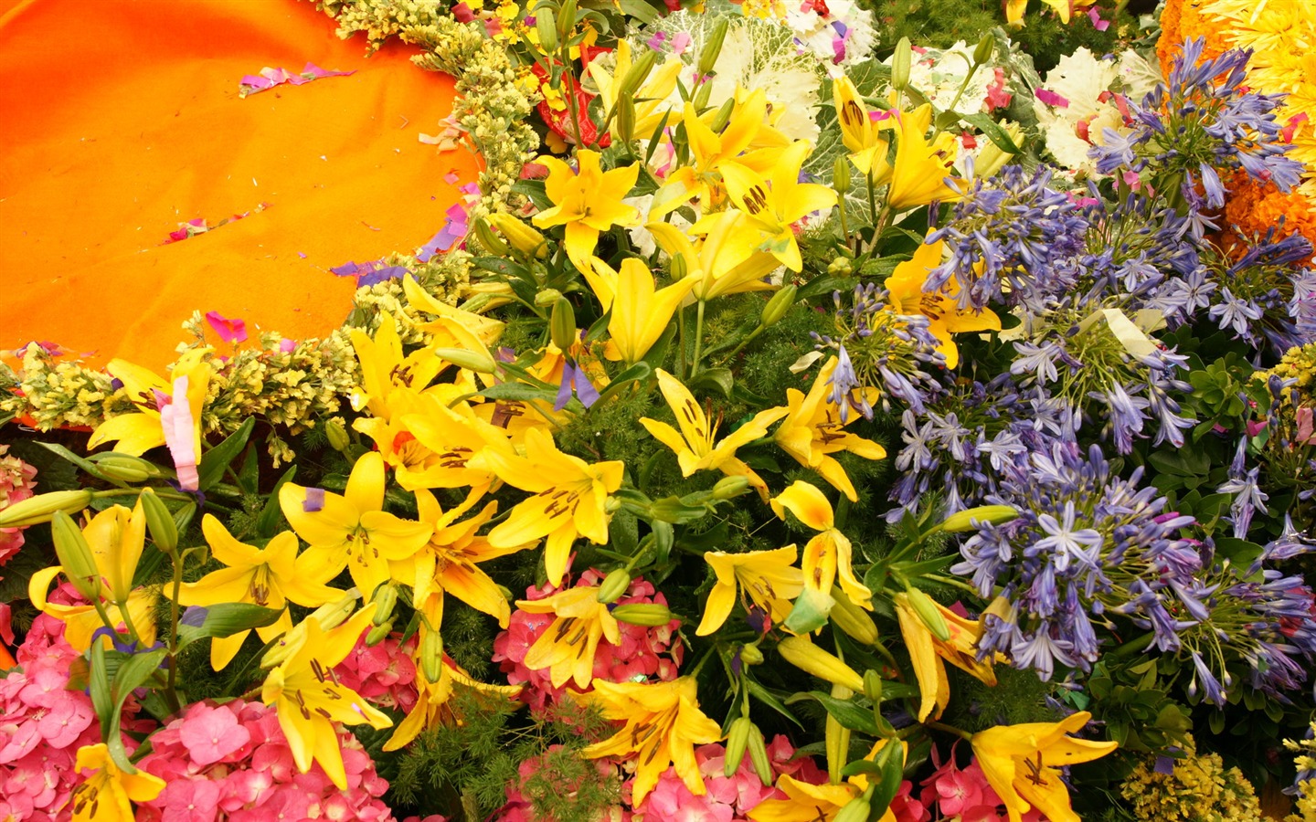 fleurs colorées décorent fond d'écran (4) #12 - 1440x900