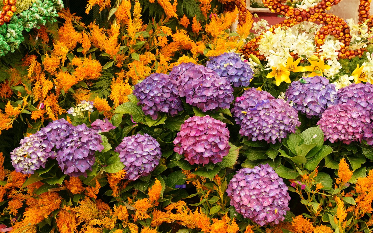 fleurs colorées décorent fond d'écran (4) #13 - 1440x900