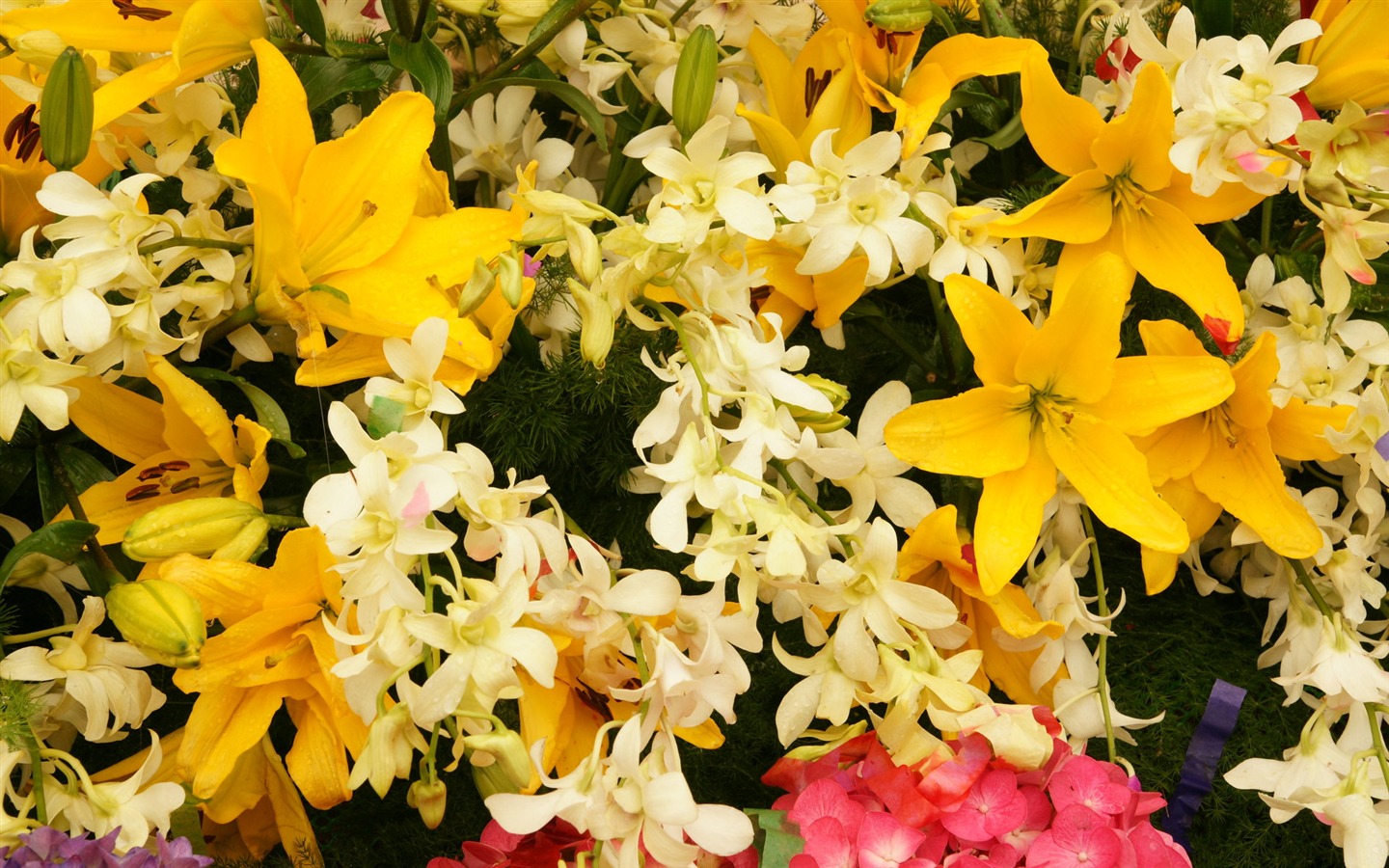 fleurs colorées décorent fond d'écran (4) #16 - 1440x900
