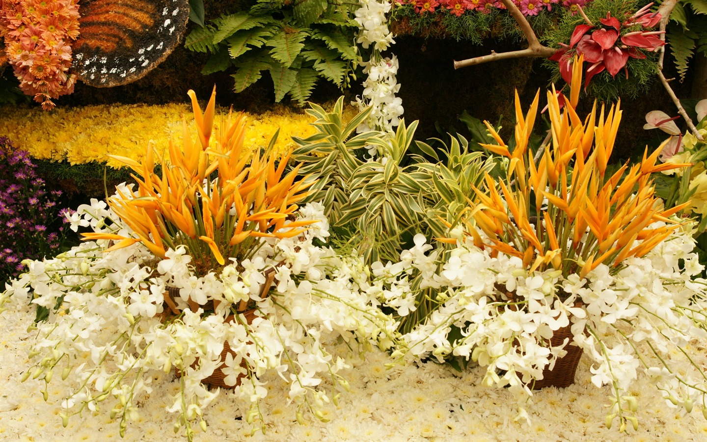 fleurs colorées décorent fond d'écran (4) #18 - 1440x900