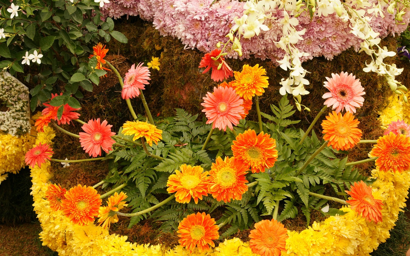 fleurs colorées décorent fond d'écran (4) #19 - 1440x900