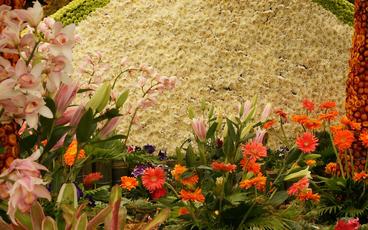 Širokoúhlý tapety květiny close-up (31) #17 - 1440x900