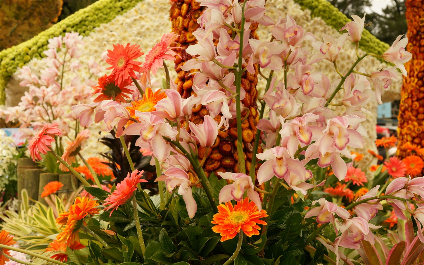 Widescreen wallpaper flowers close-up (31) #20 - 1440x900