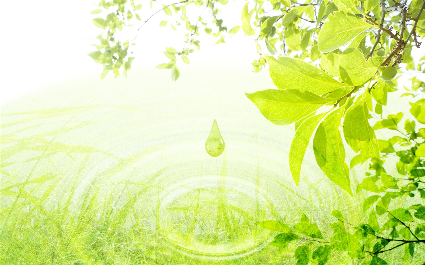 綠色與自然 壁紙(三) #5 - 1440x900