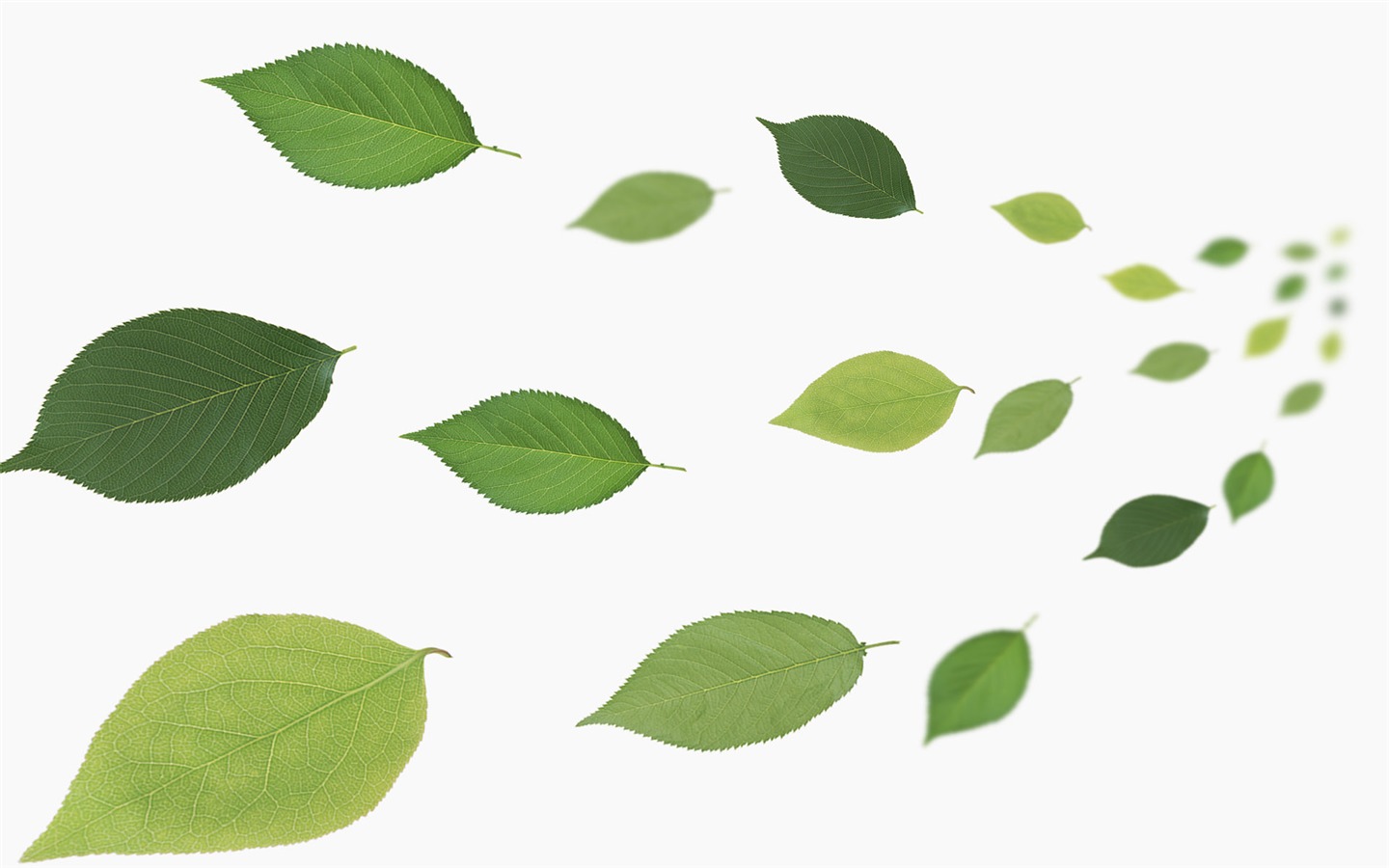 緑と自然の壁紙 (4) #3 - 1440x900