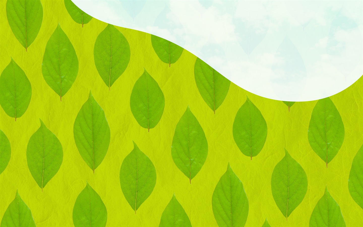 绿色与自然 壁纸(四)4 - 1440x900