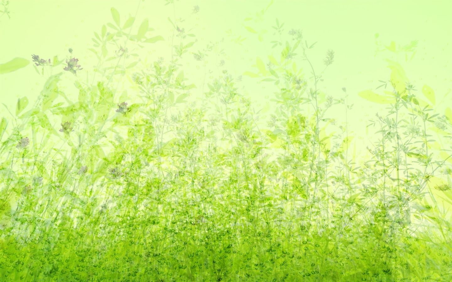 녹색과 자연 바탕 화면 (4) #11 - 1440x900