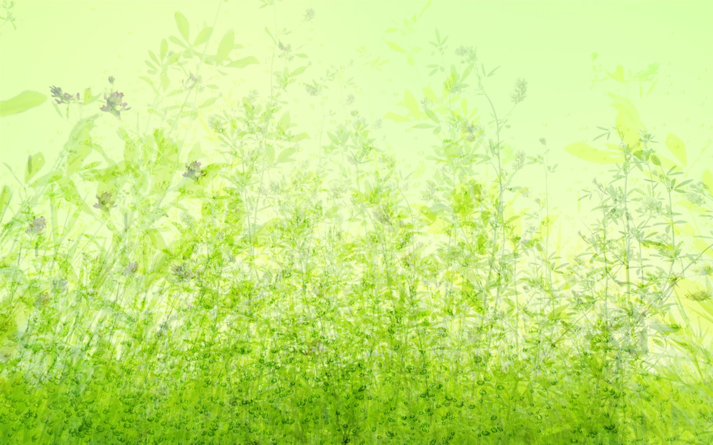 Green and Natural Wallpaper (4) #11 - 1440x900