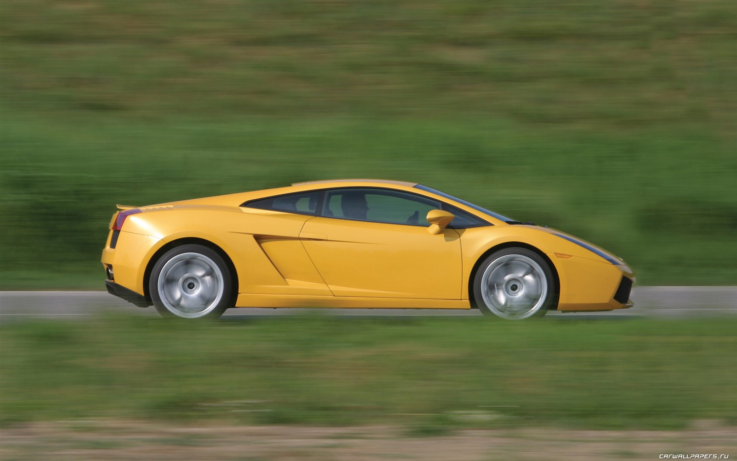 Lamborghini Gallardo - 2003 兰博基尼50 - 1440x900