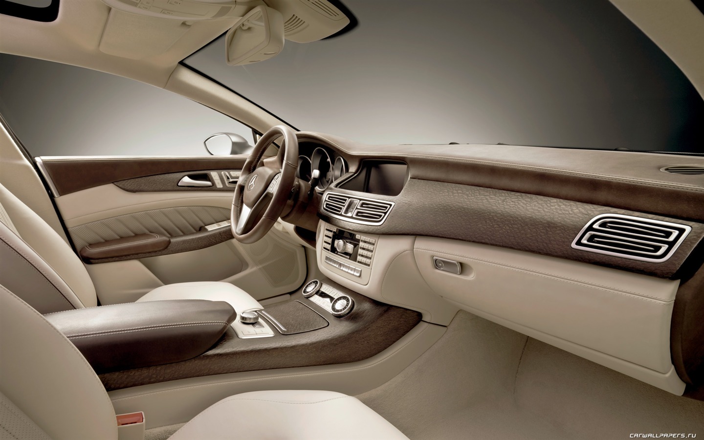Mercedes-Benz Concept Shooting Break - 2010 奔馳 #22 - 1440x900