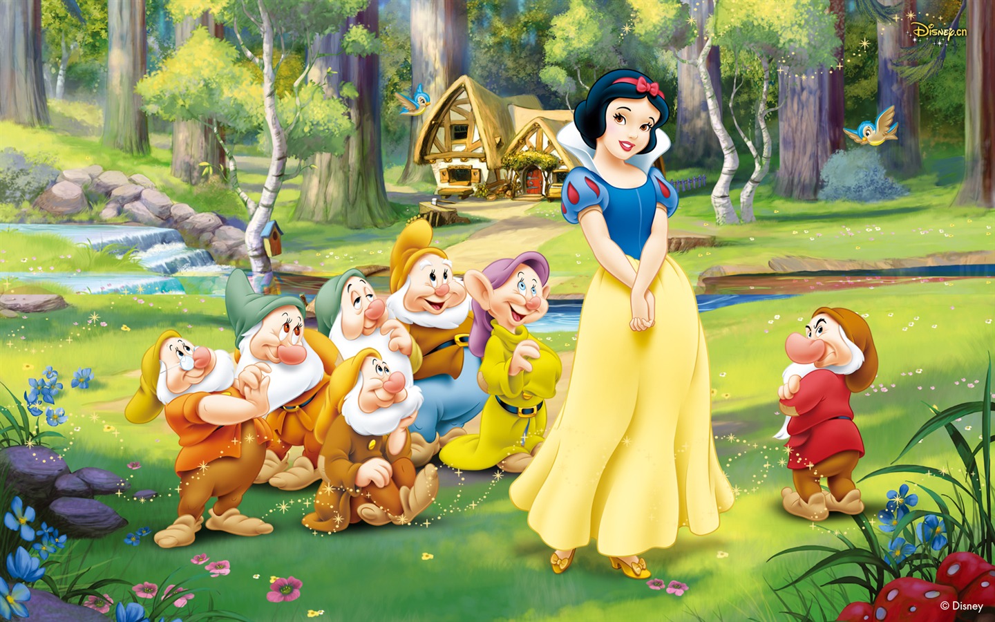 Princess Disney cartoon wallpaper (4) #1 - 1440x900