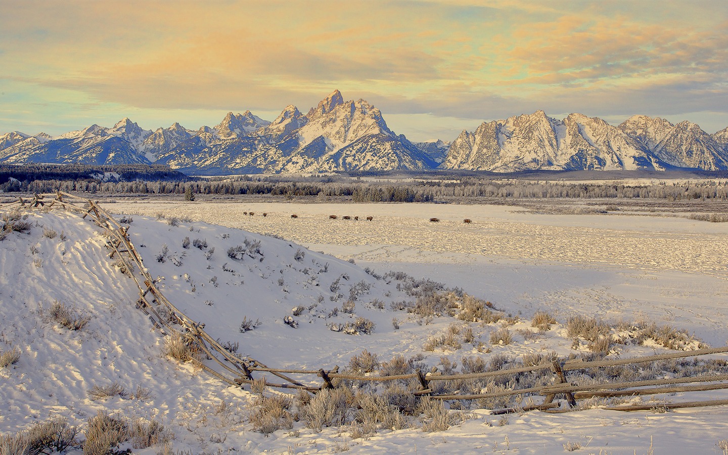 寬屏雪景 壁紙(三) #4 - 1440x900