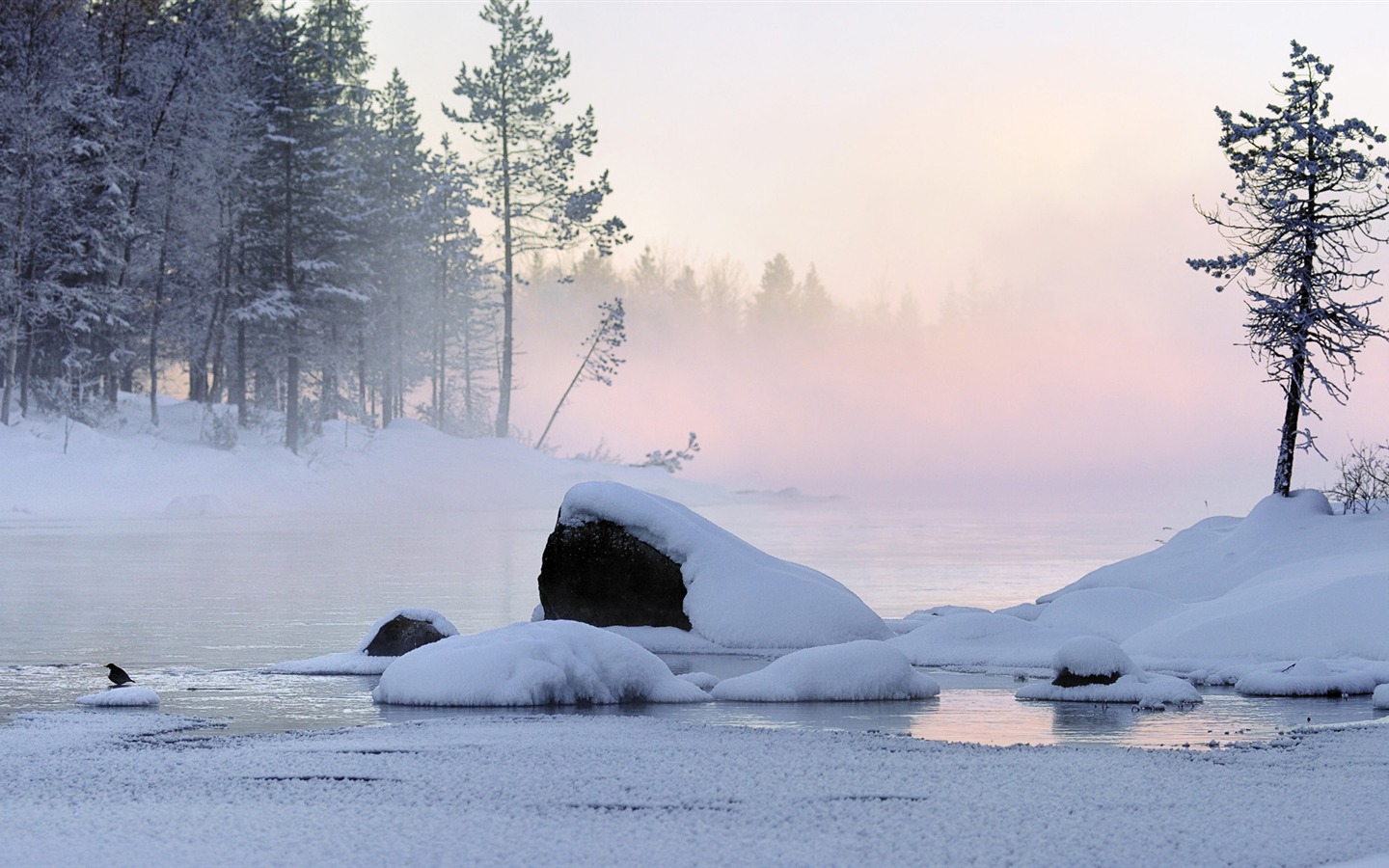 寬屏雪景 壁紙(三) #20 - 1440x900