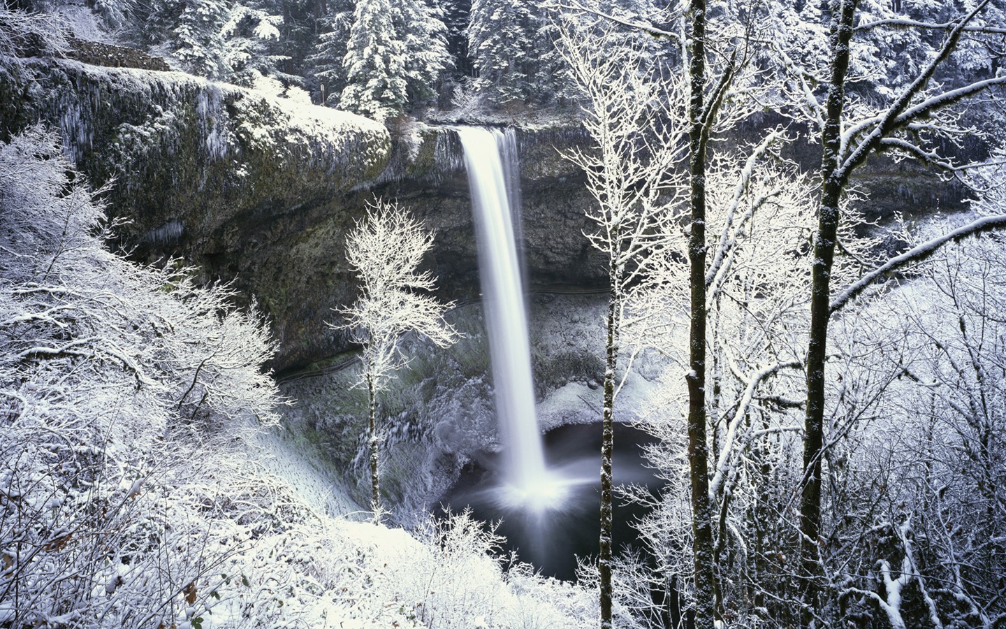 宽屏雪景 壁纸(四)16 - 1440x900