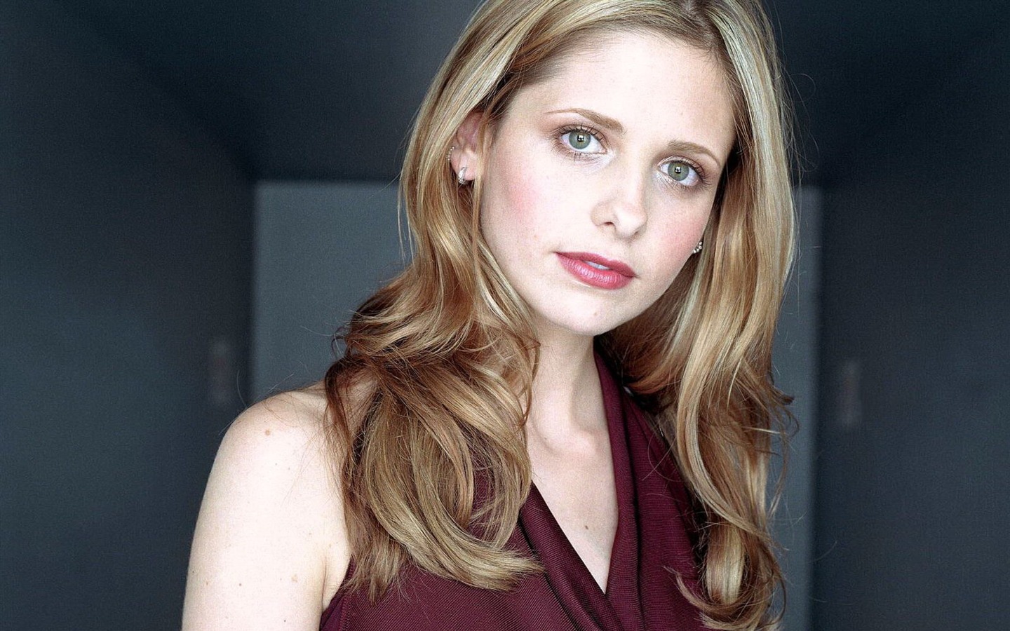 Sarah Michelle Gellar hermosos fondos de escritorio (1) #12 - 1440x900