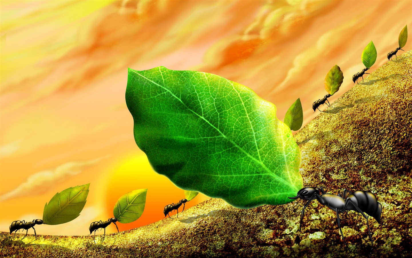 Colorido fondo de pantalla pintados a mano ecología del paisaje (3) #5 - 1440x900