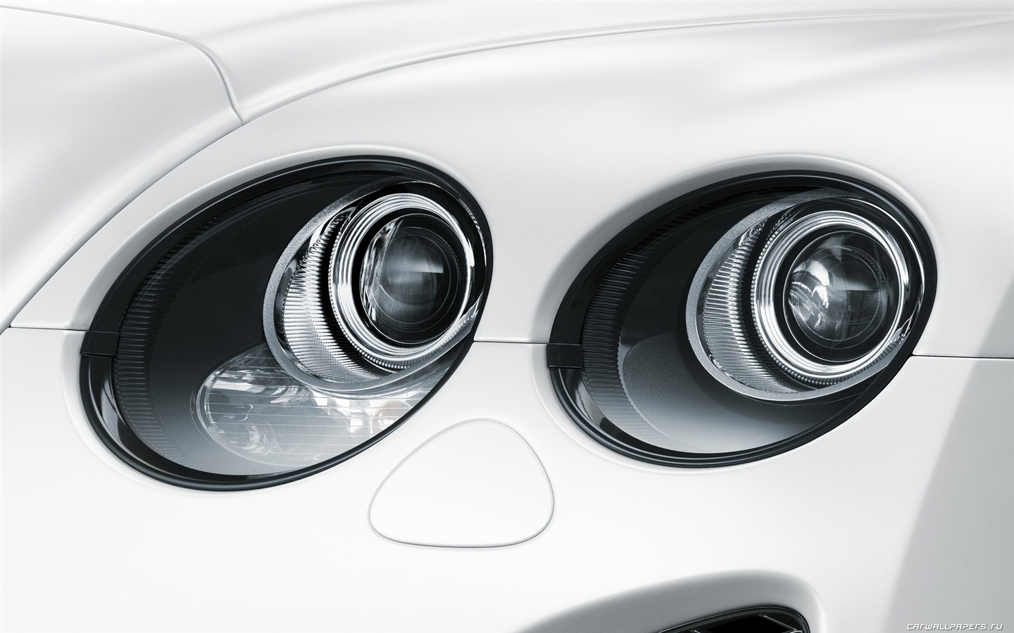 Bentley Continental Supersports Convertible - 2010 賓利 #58 - 1440x900