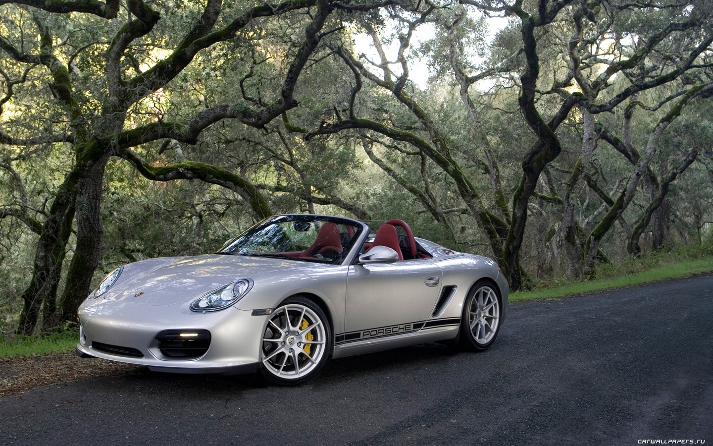 Porsche Boxster Spyder - 2010 保时捷36 - 1440x900