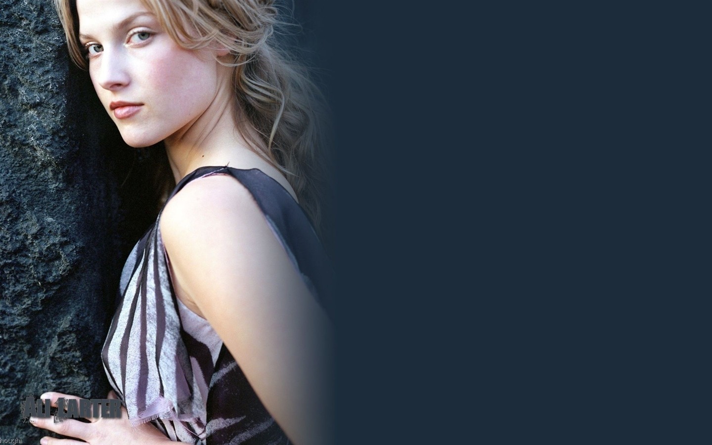 Ali Larter 艾丽·拉特 美女壁纸1 - 1440x900