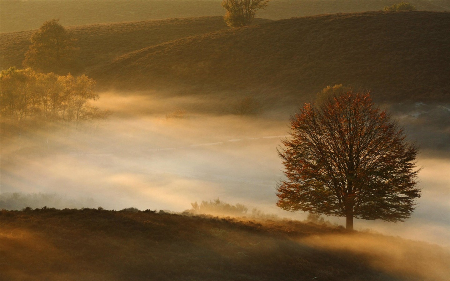 Tapety Krajina Kolekce (66) #2 - 1440x900