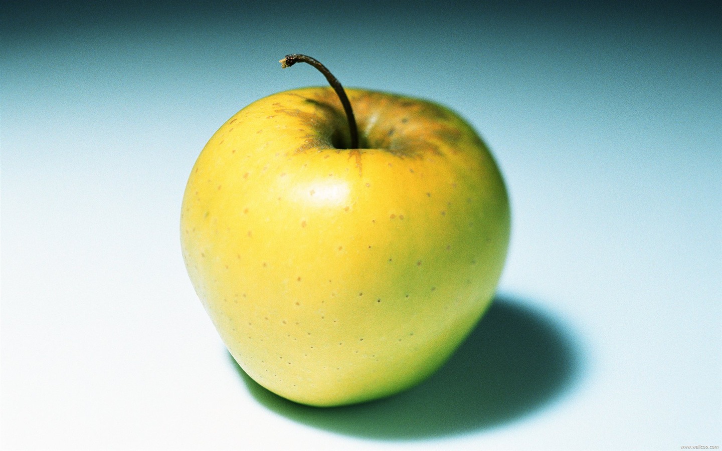 Frisch und lecker Obst Tapete #9 - 1440x900