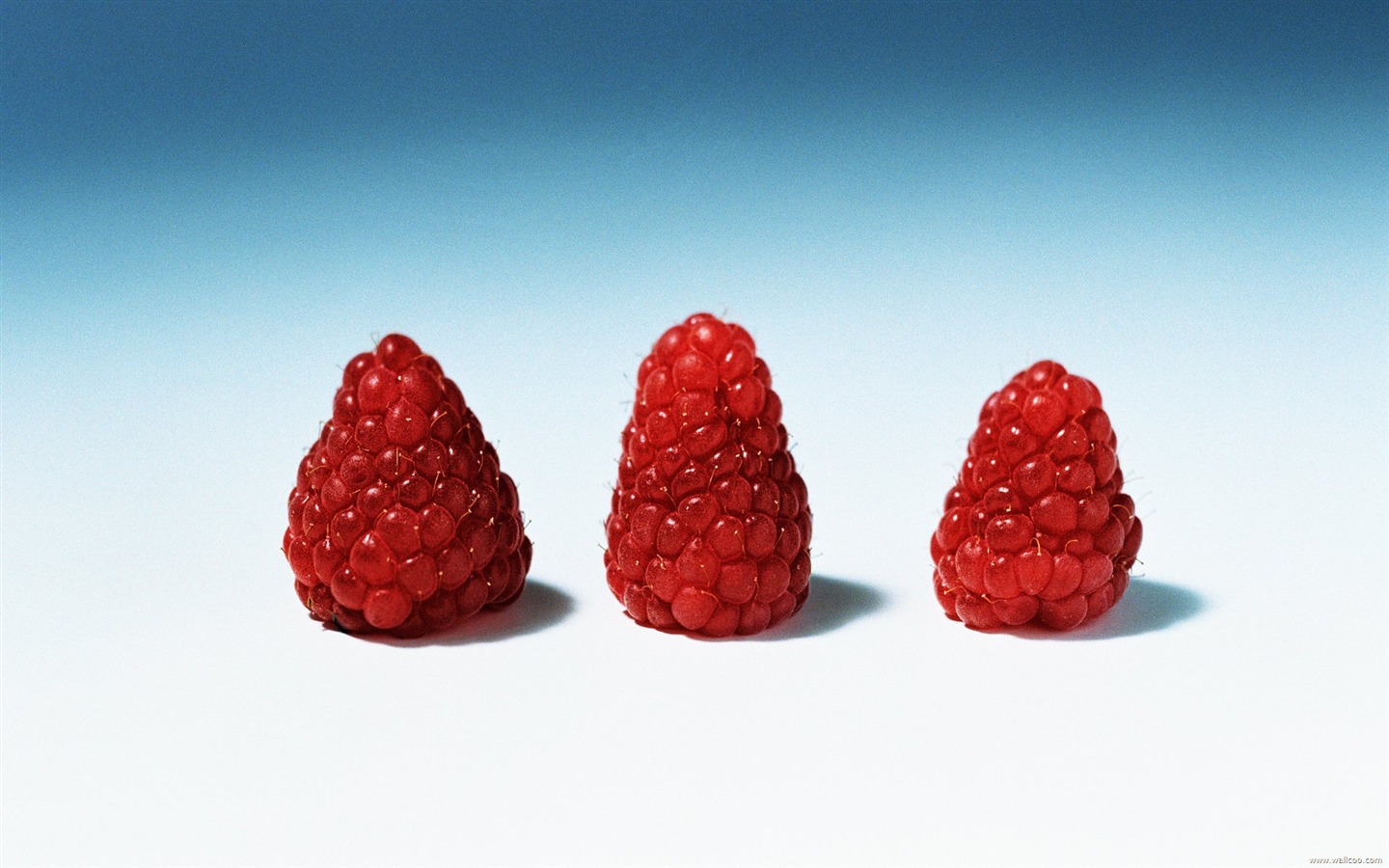 Frisch und lecker Obst Tapete #23 - 1440x900