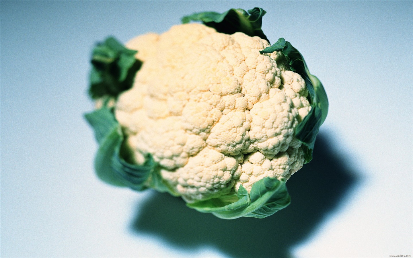 Fond d'écran vert des légumes sains #11 - 1440x900