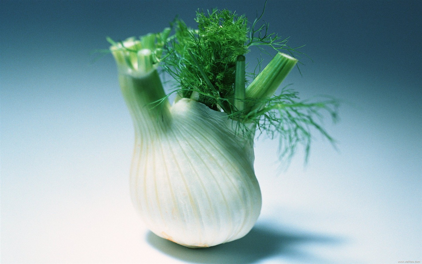 Wallpaper grün gesundes Gemüse #13 - 1440x900