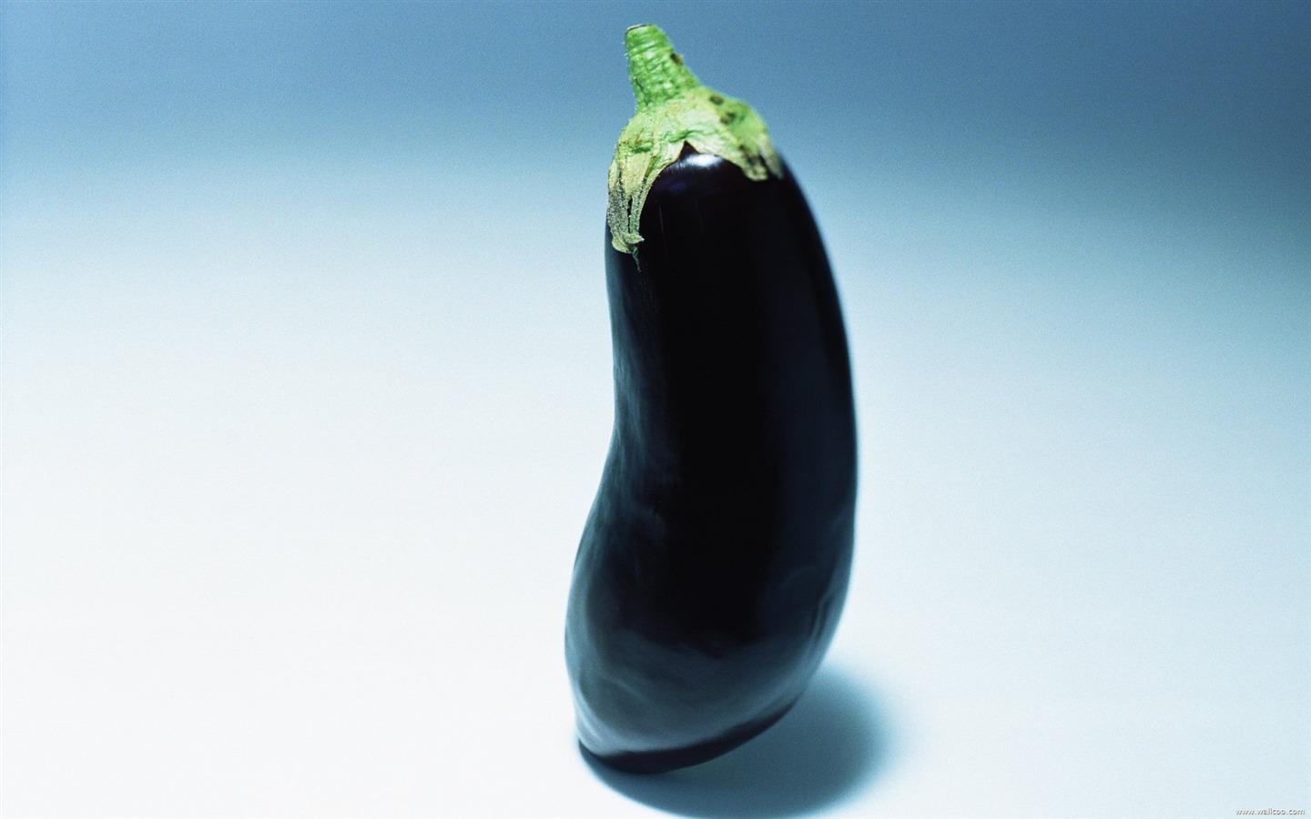 Fond d'écran vert des légumes sains #16 - 1440x900