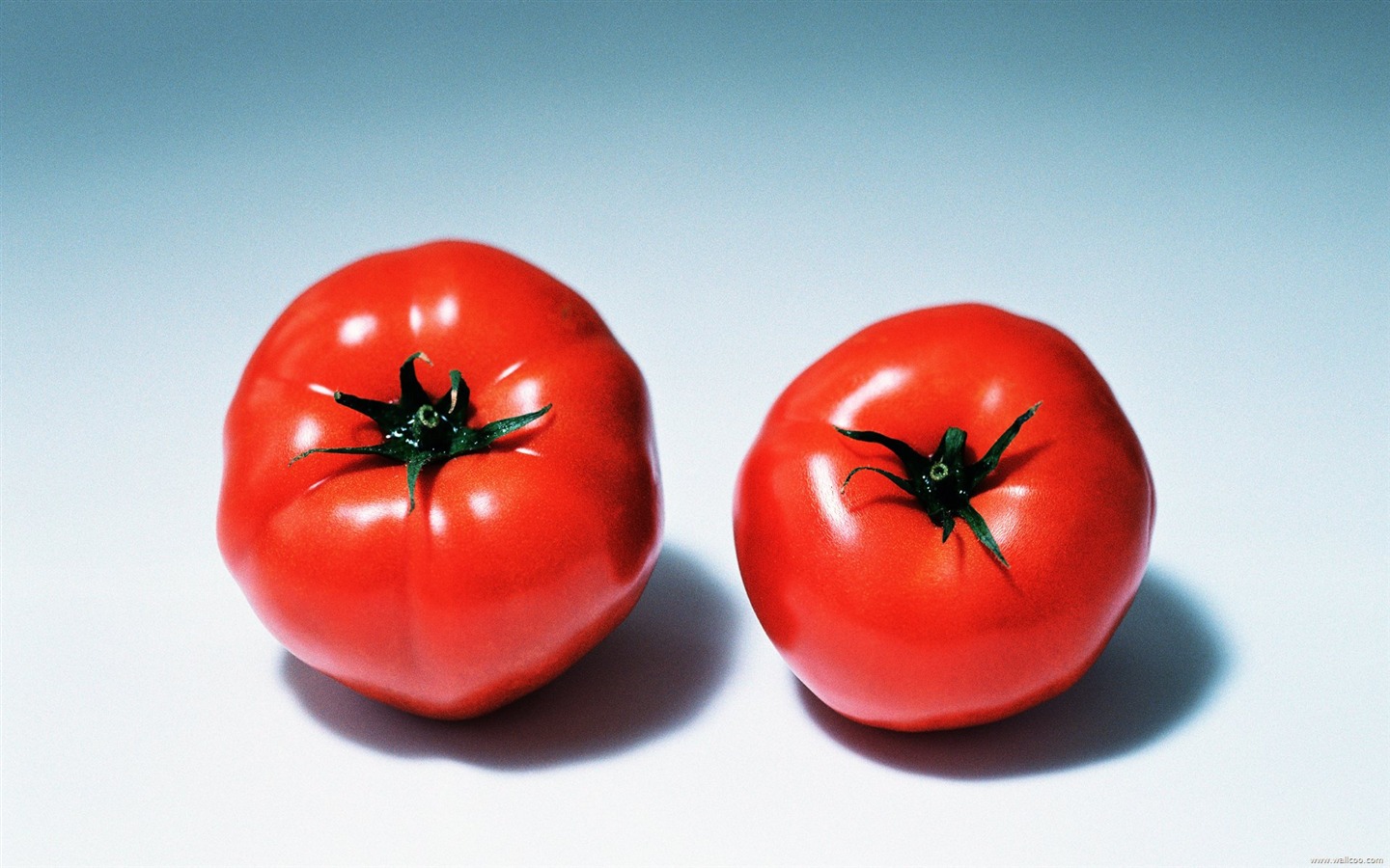 Fond d'écran vert des légumes sains #24 - 1440x900