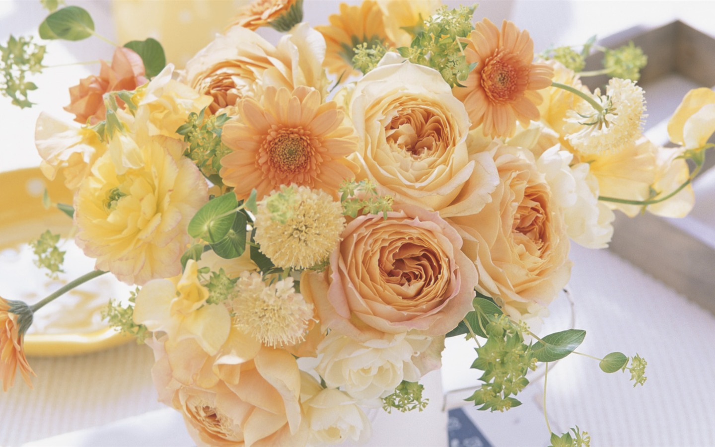 Widescreen wallpaper flowers close-up (32) #14 - 1440x900