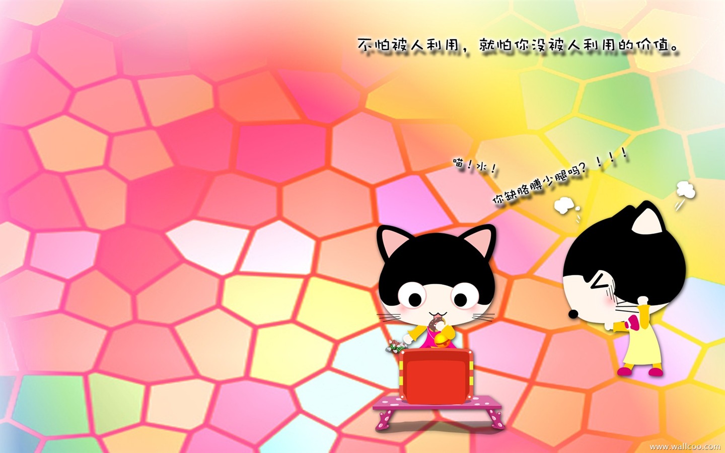 貓咪寶貝 卡通壁紙(一) #10 - 1440x900