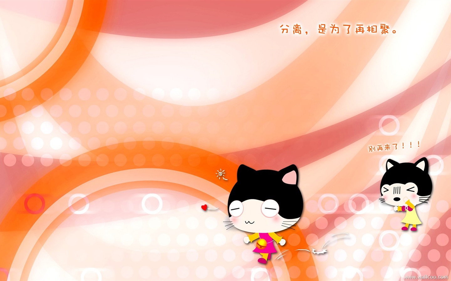 貓咪寶貝 卡通壁紙(一) #14 - 1440x900