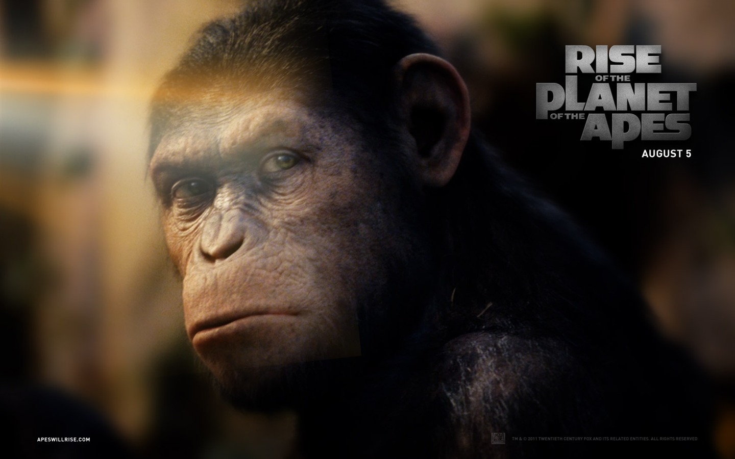 Rise of the Planet of the Apes wallpapers #2 - 1440x900