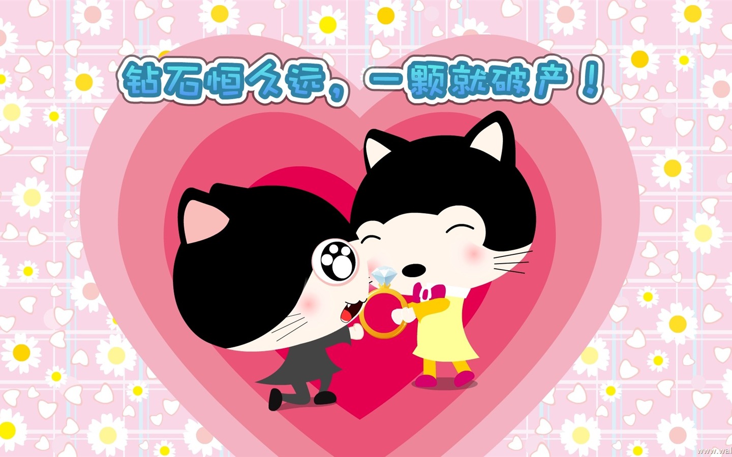 貓咪寶貝 卡通壁紙(五) #2 - 1440x900