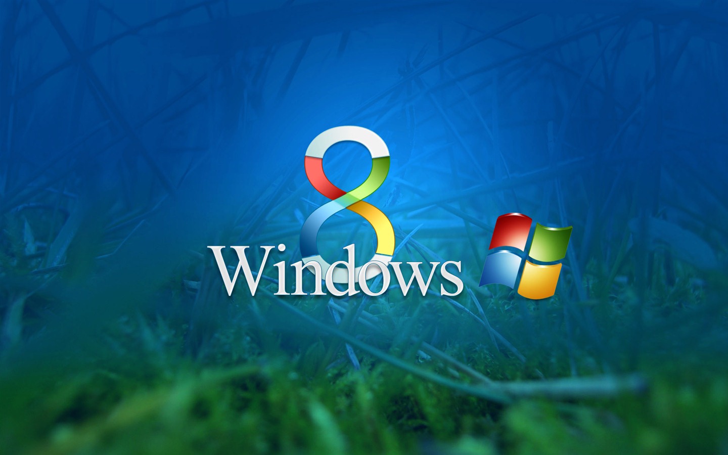 Fond d'écran Windows 8 Theme (2) #1 - 1440x900