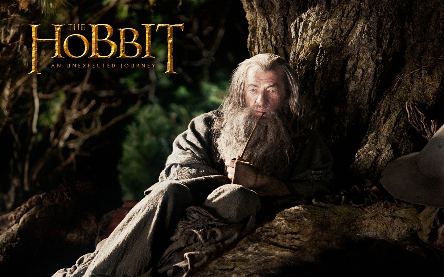 The Hobbit: An Unexpected Journey 霍比特人：意外旅程 #10 - 1440x900