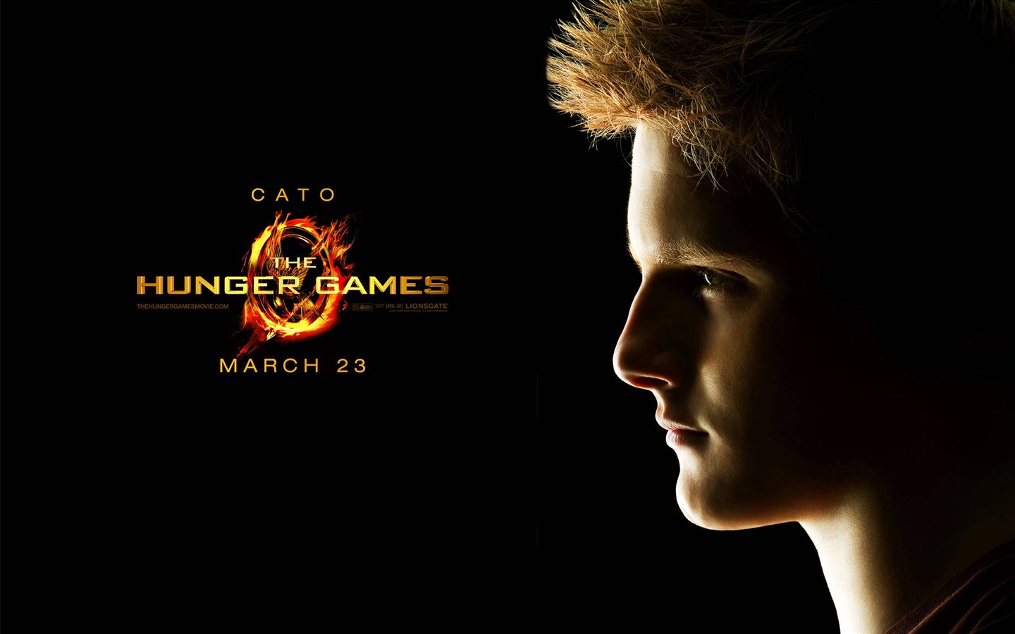 V Hunger Games HD tapety na plochu #3 - 1440x900