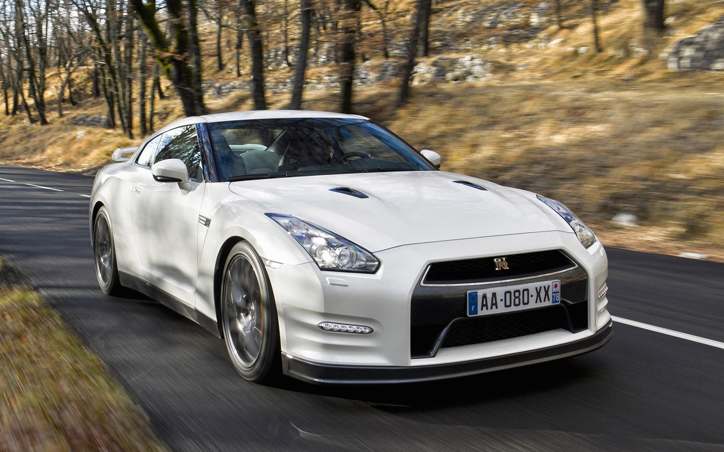 Nissan GT-R Egoist 2011 HD Wallpapers #34 - 1440x900