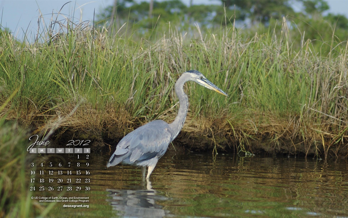 Června 2012 Kalendář Tapety na plochu (1) #10 - 1440x900
