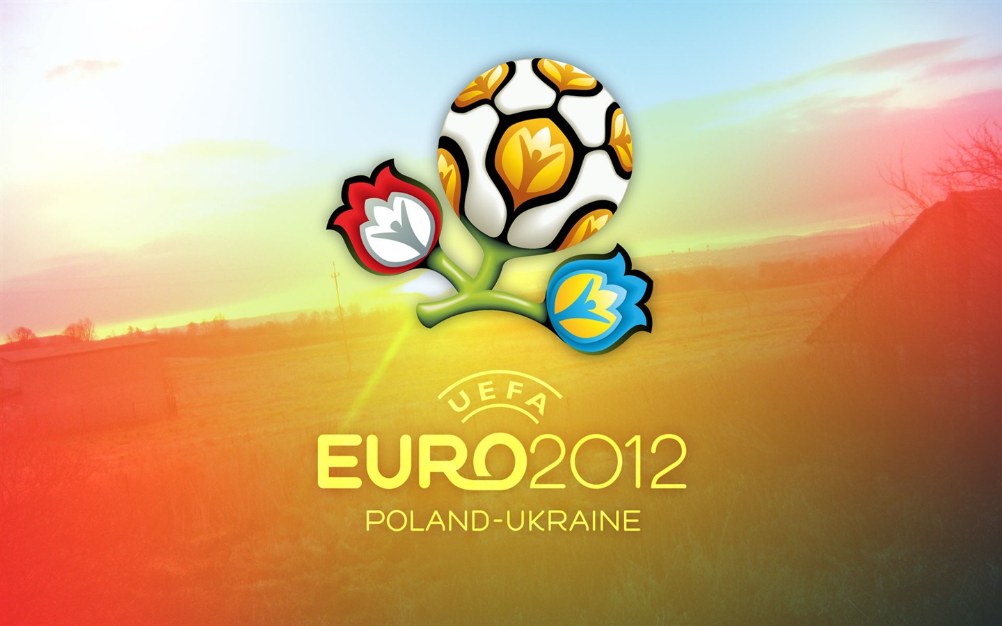 UEFA EURO 2012 欧洲足球锦标赛 高清壁纸(一)1 - 1440x900