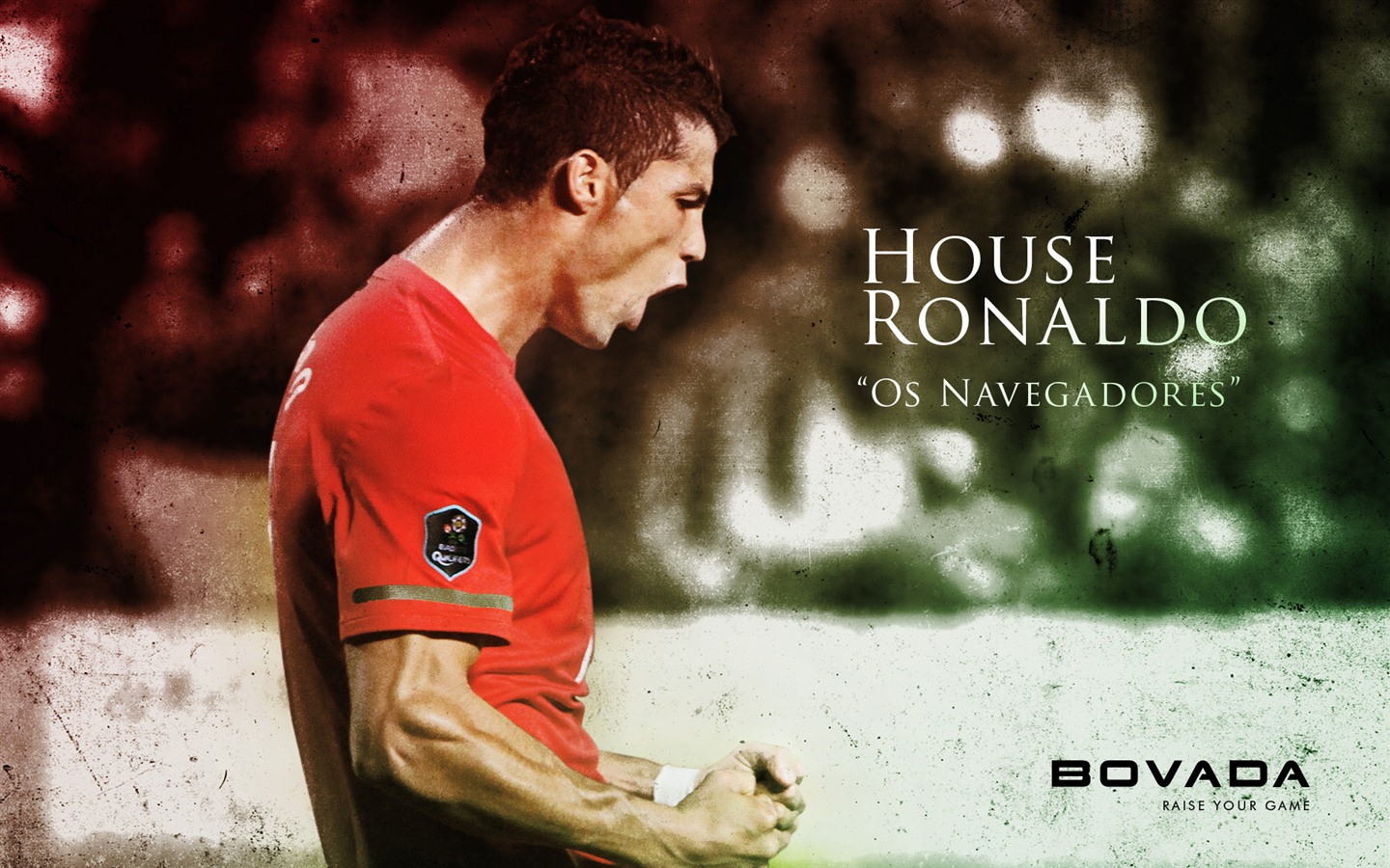 UEFA EURO 2012 HD wallpapers (1) #8 - 1440x900