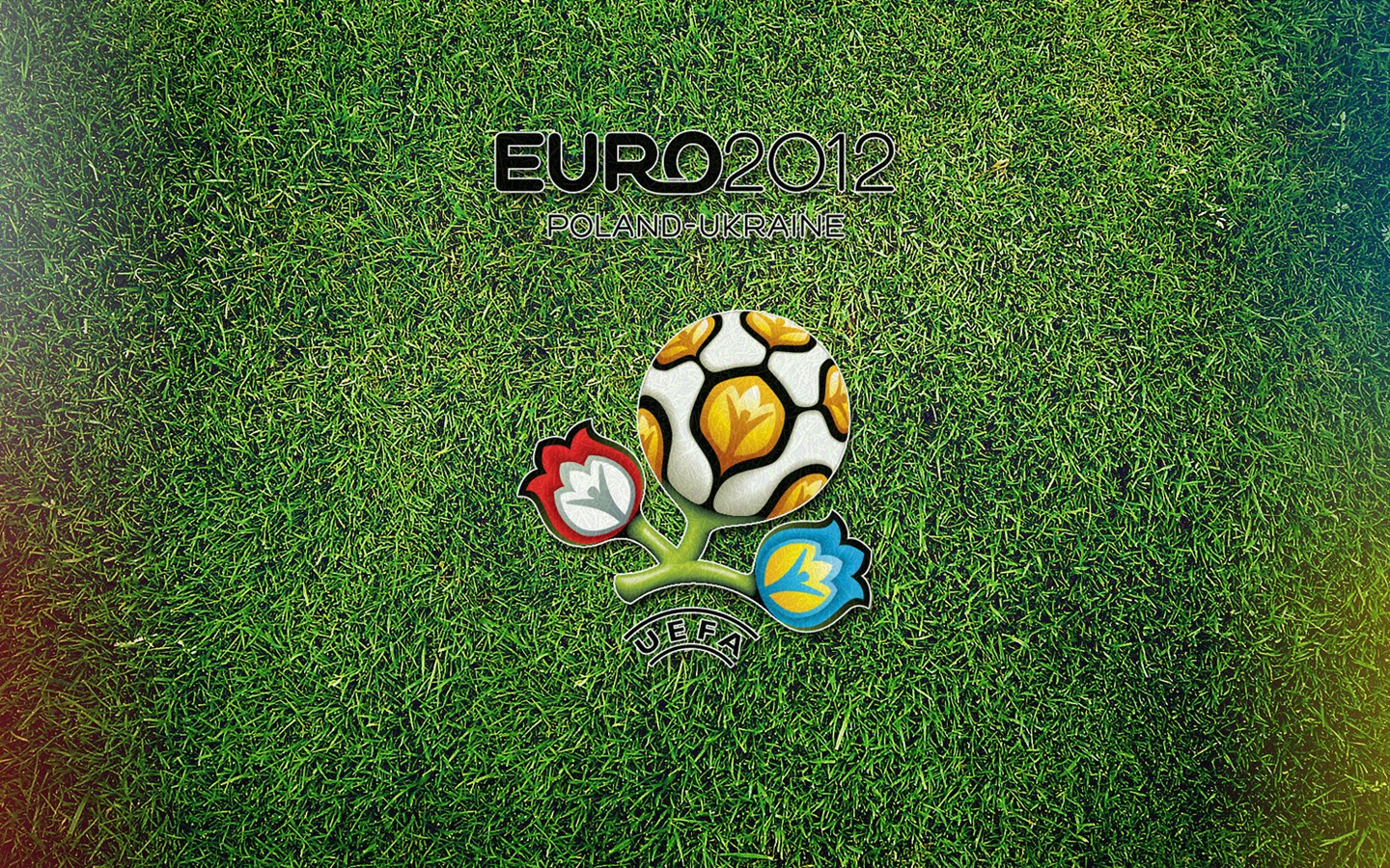 UEFA EURO 2012 欧洲足球锦标赛 高清壁纸(一)15 - 1440x900