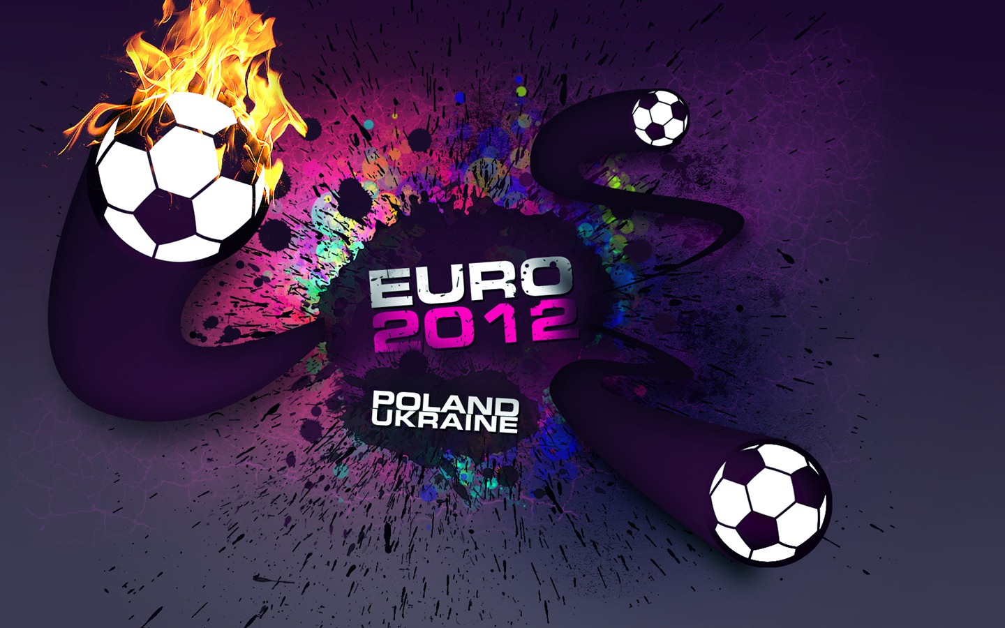 UEFA EURO 2012年歐錦賽高清壁紙(一) #17 - 1440x900