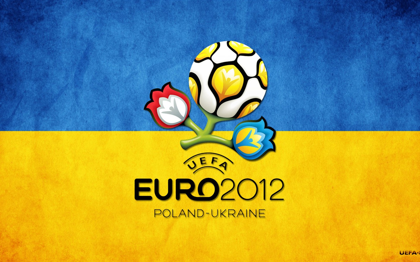 UEFA 유로 ​​2012의 HD 월페이퍼 (1) #19 - 1440x900